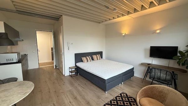 Appartement - Esperantostraat/Den Haag (€1335.00/30.00m2)