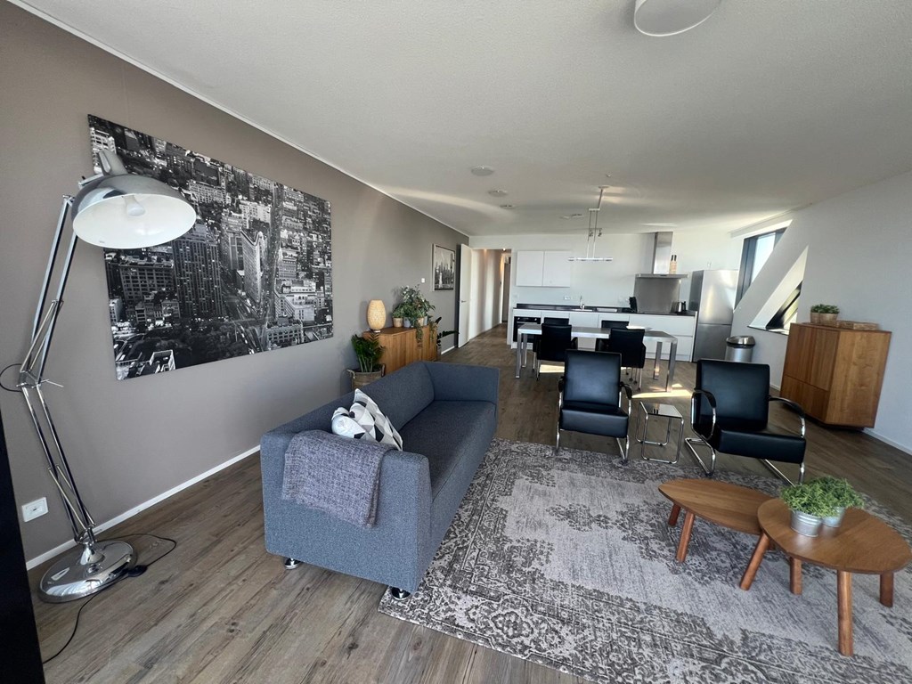 Appartement - Anna Van Buerenplein/Den Haag (€4500.00/114.00m2)