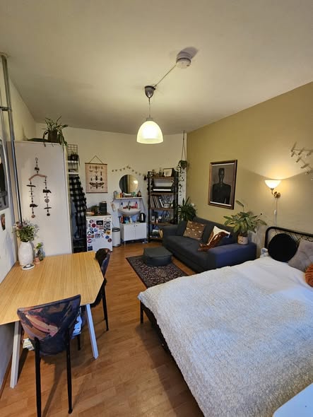 Kamer - Hoendiep/Groningen (€470.00/16.00m2)