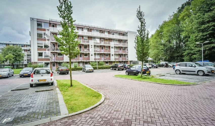 Appartement - Leverkruidweg/Zaandam (€875.00/65.00m2)