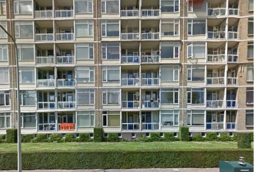 Appartement - Denenburg/Den Haag (€830.00/49.00m2)