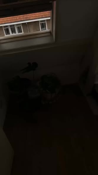 Kamer - Korreweg/Groningen (€415.00/7.00m2)