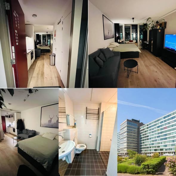 Studio - Bos en Lommerplantsoen/Amsterdam (€125.00/32.00m2)