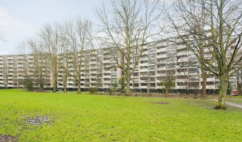 Appartement - Jan Luykenlaan/Leiden (€1095.00/53.00m2)