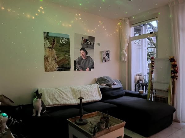 Kamer - Oud Zuid/Amsterdam (€983.00/15.00m2)