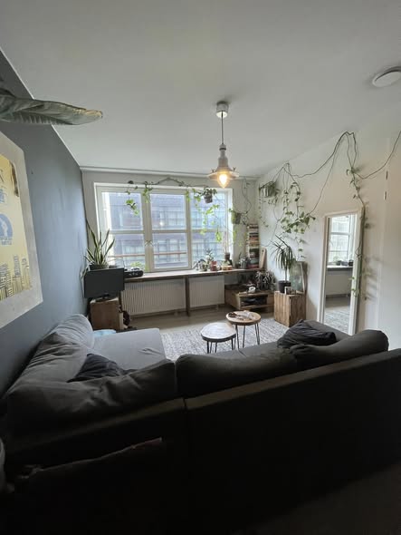 Appartement - MT. Lincolnweg/Amsterdam (€1350.00/45.00m2)