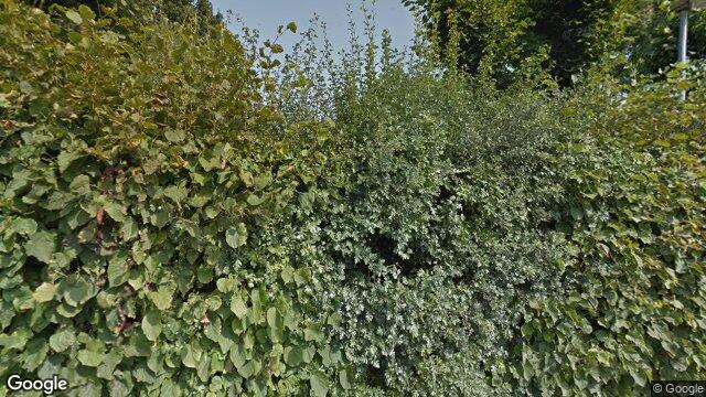 Huurwoning - De Dissel/Laren (NH) (€1575.00/65.00m2)