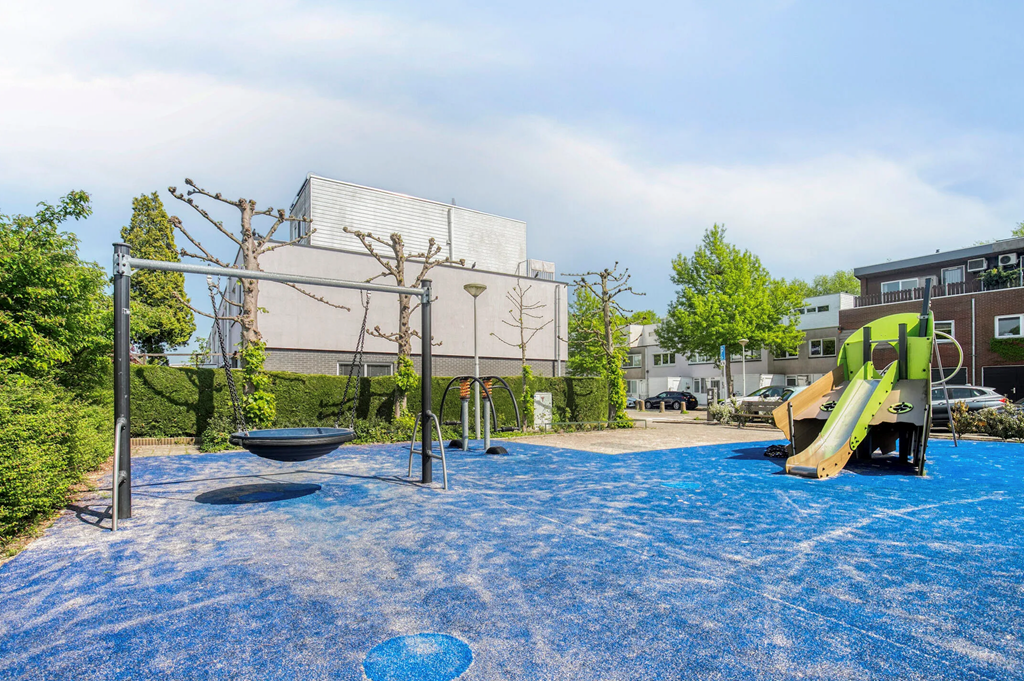 Dwergvinvisstraat, Amsterdam