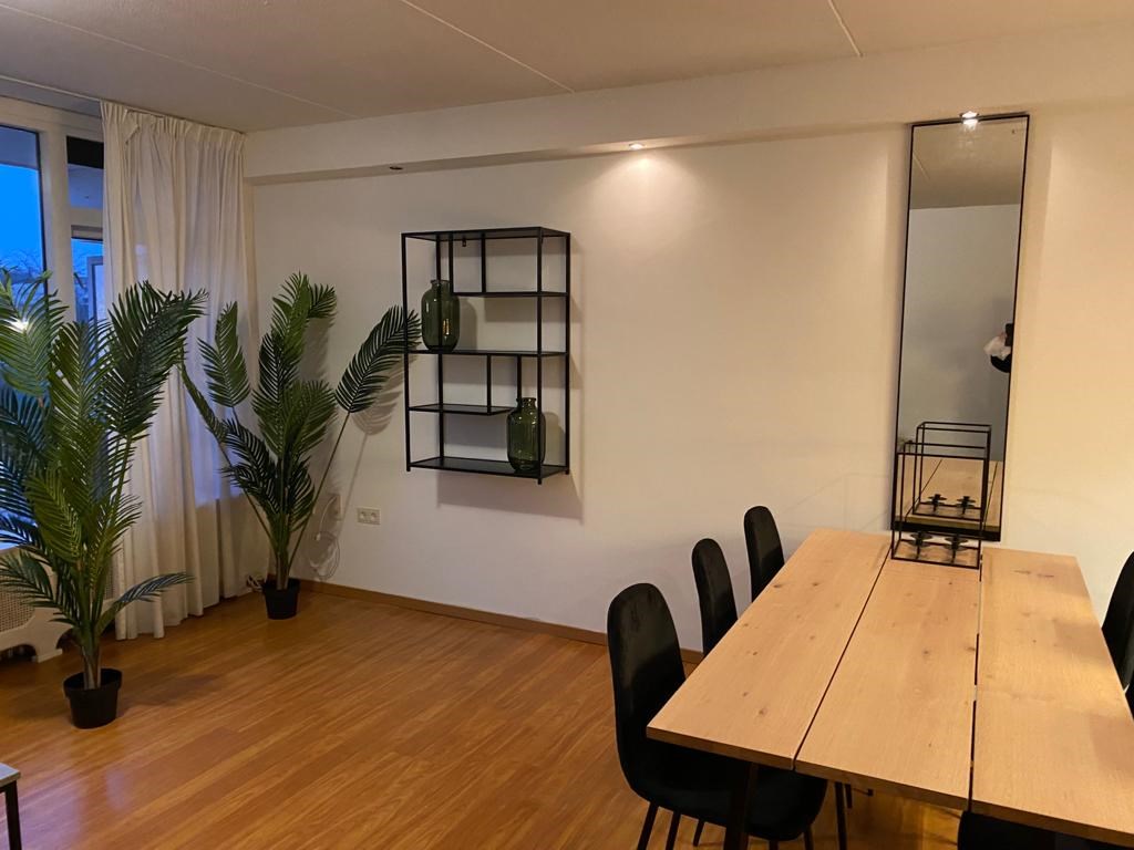 Appartement - De Sillestraat/Den Haag (€1100.00/55.00m2)
