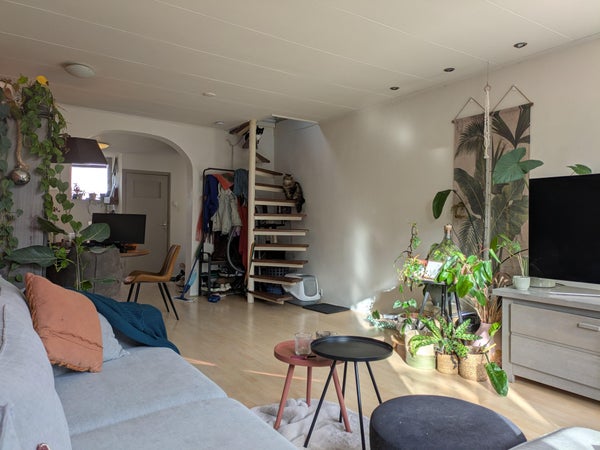 Appartement - Gedempte Nieuwesloot/Alkmaar (€1025.00/65.00m2)