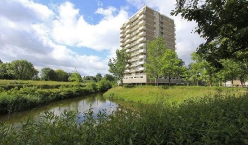 Appartement - Alexanderstraat/Zoetermeer (€980.00/50.00m2)