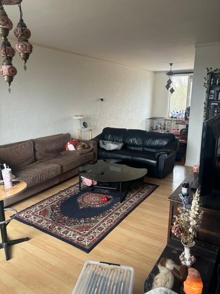 Appartement - Van Iddekingeweg/Groningen (€462.50/76.00m2)
