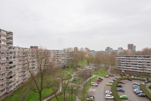 Appartement - Jonkerbos/Zoetermeer (€990.00/90.00m2)