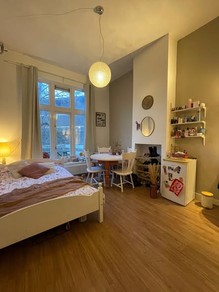 Kamer - Parklaan/Groningen (€490.00/18.00m2)