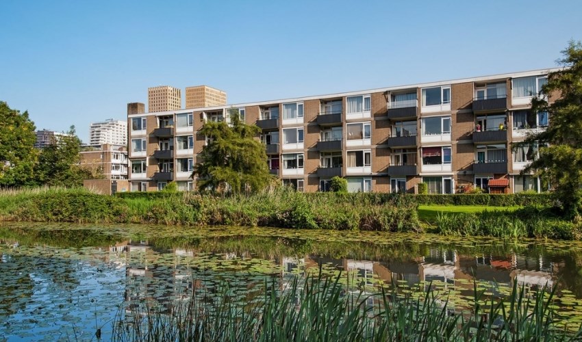 Appartement - Frieslandstraat/Amsterdam (€1225.00/47.00m2)