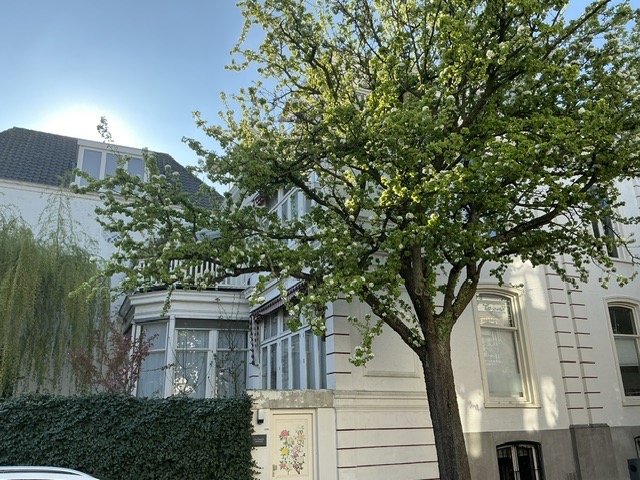 Kamer - Balistraat/Den Haag (€850.00/22.00m2)