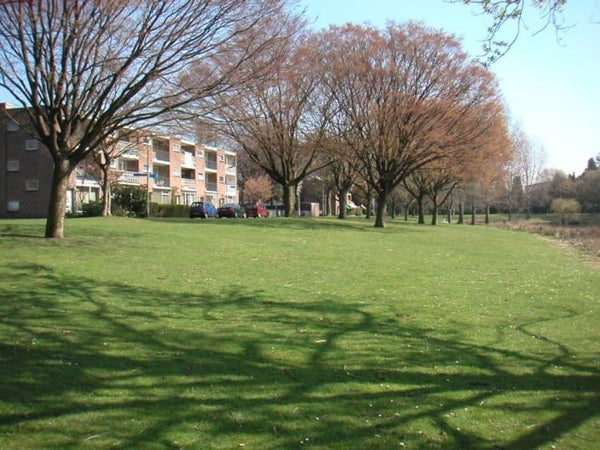 Appartement - Louis Regoutstraat/Tilburg (€1552.00/55.00m2)