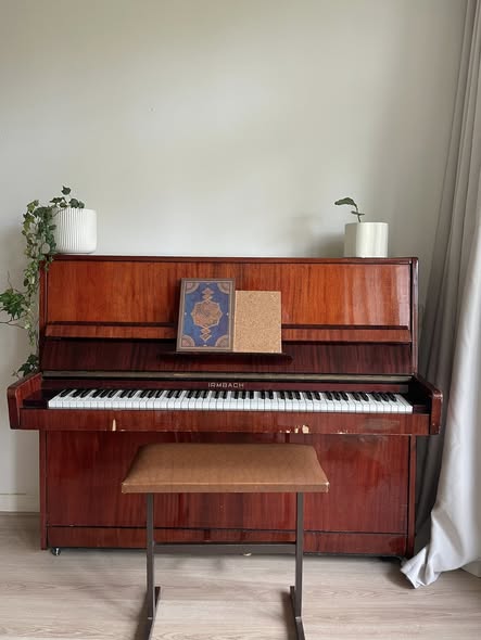 Appartement - Rivierenbuurt/Amsterdam (€1900.00/95.00m2)