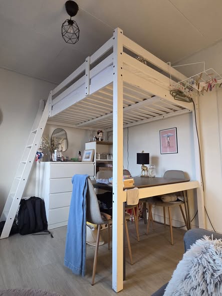 Kamer - Professor Rankestraat/Groningen (€485.00/13.00m2)
