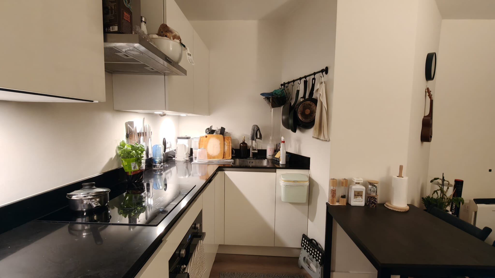 Kamer - Caan van Necklaan/Rijswijk (ZH) (€850.00/13.00m2)