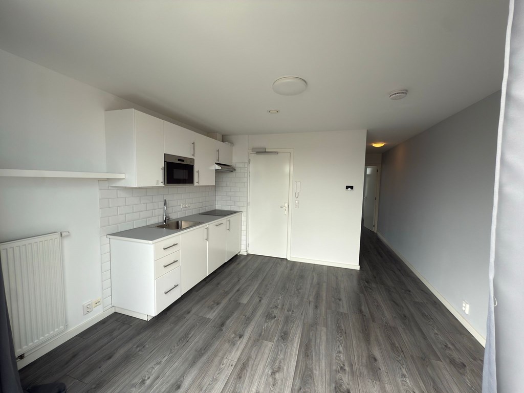 Studio - Isingstraat/Den Haag (€1350.00/40.00m2)