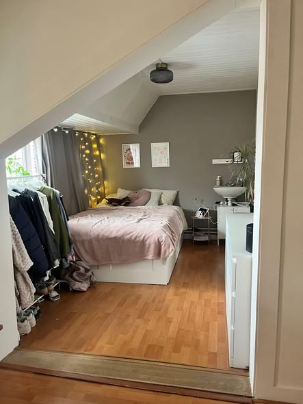 Kamer - Professorenbuurt/Groningen (€650.00/19.00m2)