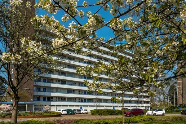 Appartement Honthorstlaan in Alkmaar