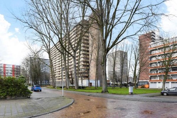 Apartment Hendrik Tollensstraat in Delft