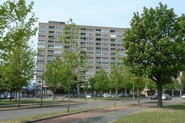 Appartement Sweelinckplein in Den Bosch