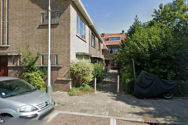 House Abrikozenstraat in Den Haag