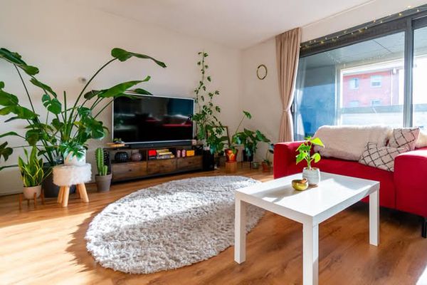 Appartement Java-eiland in Amsterdam