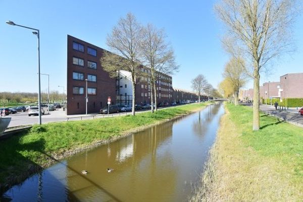 Apartment Snoekbaarssingel in Den Haag
