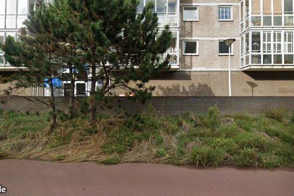 Appartement Zwolsestraat in Den Haag