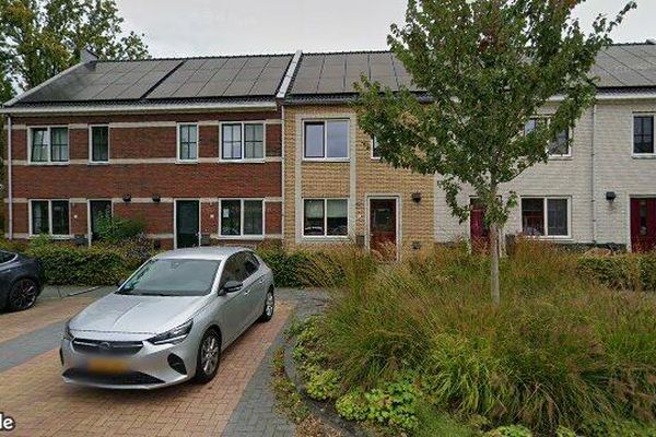 House Bovist in Assen